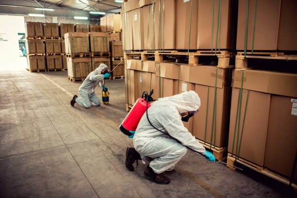 Best Cockroach Control Services  in Combine, TX