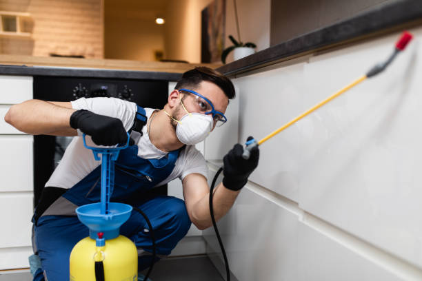 Best Affordable Exterminators  in Combine, TX