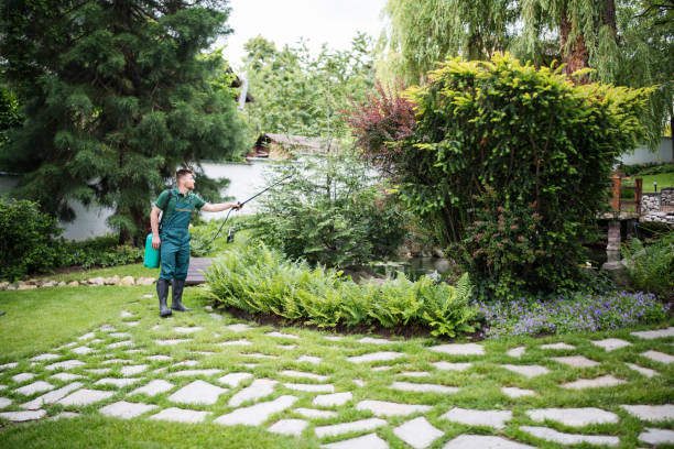 Best Pest Removal Services  in Combine, TX