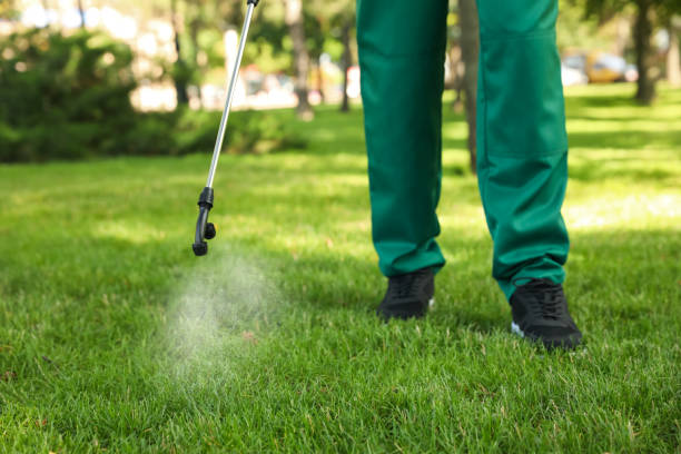 Best Best Pest Control Companies  in Combine, TX