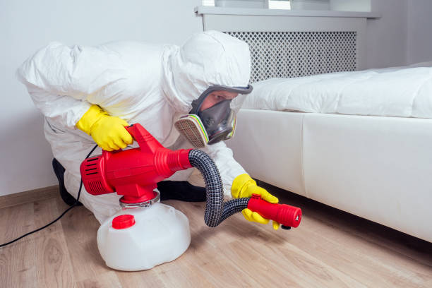Best Residential Pest Control  in Combine, TX