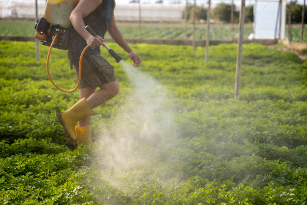 Best Pest Control Near Me  in Combine, TX