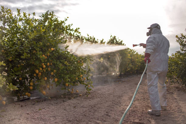 Best Wildlife Control Services  in Combine, TX
