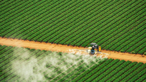 Best Pest Inspection Near Me  in Combine, TX