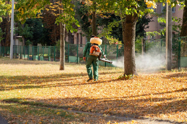 Best Local Pest Control Services  in Combine, TX