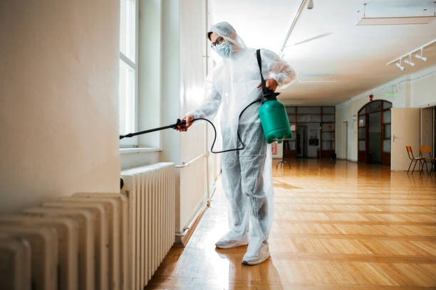 Best Affordable Pest Control Services  in Combine, TX